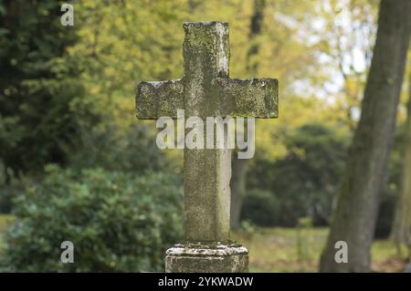 Weathered stone cross tombstone in a cemetery during the fall season Stock Photo