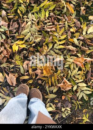 yellow and brown autumn leaves from a personal point of view Stock Photo