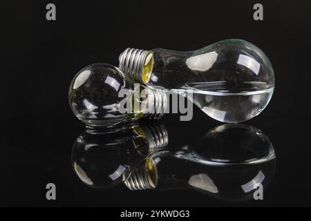 Two turned off light bulbs on black background with reflection Stock Photo