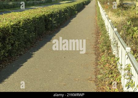 Paved path for pedestrians stretching between a green hedge and a white fence in a park Stock Photo