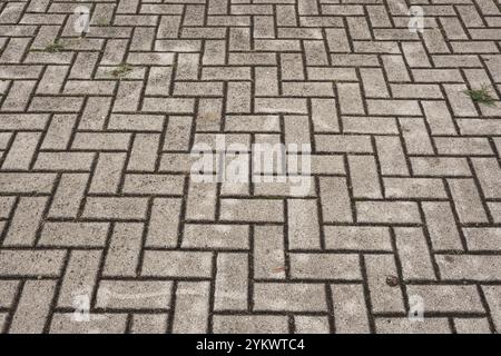 Grey rectangular brick pavers creating herringbone pattern on a paved ground surface Stock Photo