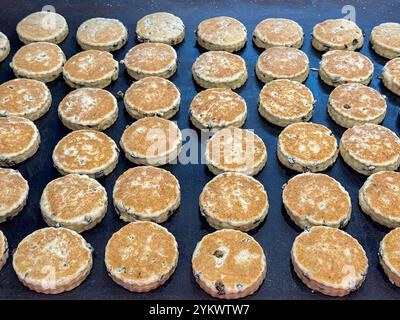 Rows of traditional Welsh cakes baking on a hot griddle Stock Photo