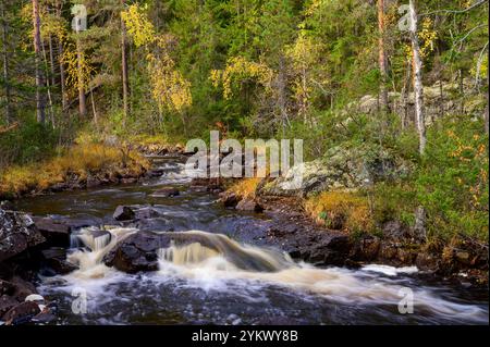 Waterfall with autumn colours in Hamra National Park, Svartån river, Sweden Stock Photo