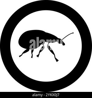 Weevil insect pest icon in circle round black color vector illustration image solid outline style simple Stock Vector