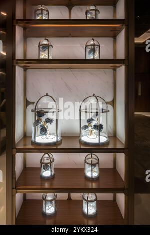 Gold Framed Shelving With Glass Encased Flowers Stock Photo