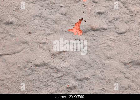 Abstract background from an old wall. Stock Photo