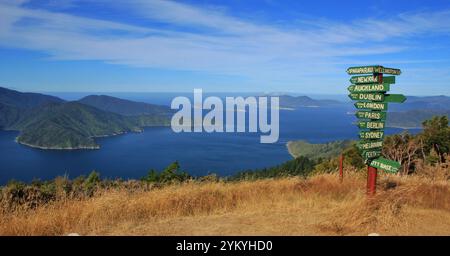 International directional darts on the Queen Charlotte Track, New Zealand. Stock Photo