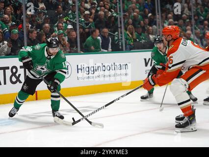 Dallas, United States. 18th Nov, 2024. Sam Steel #18 of Dallas Stars competes for the puck against Brian Dumoulin #6 of Anaheim Ducks during the NHL regular season match at the American Airlines Center. Final score Dallas Stars 2- 4 Anaheim Ducks. on November 18, 2024 in Dallas, Texas. (Photo by Javier Vicencio/Eyepix Group) Credit: Eyepix Group/Alamy Live News Stock Photo