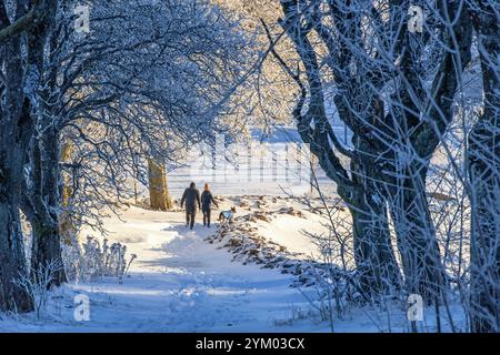 Pair walking with a dog on a path in a wintry landscape Stock Photo
