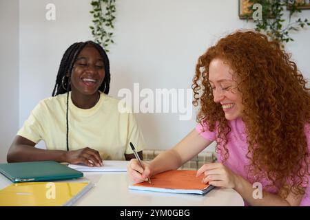 Two female students collaborating and learning together, taking notes and smiling Stock Photo