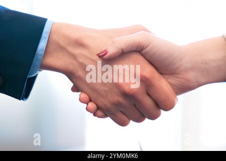 Close-up handshake sealing a professional agreement in a business setting. Stock Photo