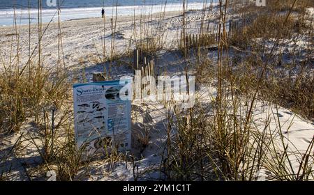 Hilton Head, South Carolina, USA - 21 February 2024: A beach sign stands amid tall grass as a person strolls along the water's edge on a clear day as Stock Photo