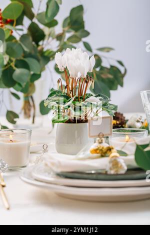 Traditional festive place setting for Christmas, decorated with eucalyptus branch Stock Photo