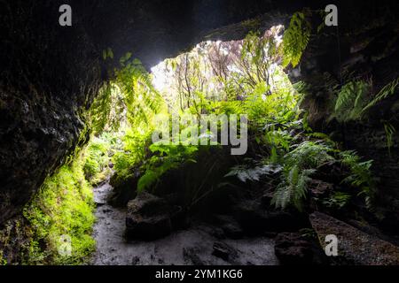 The Furna de Frei Matias is a lava cave below the Pico Mountain on Pico Island, Azores. Stock Photo