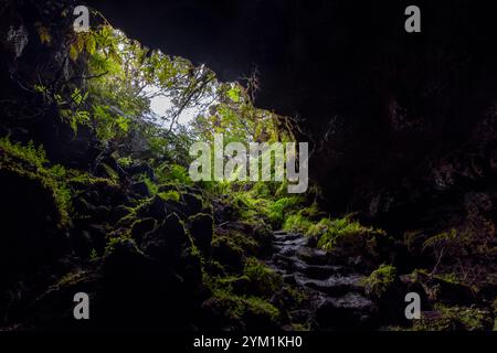 The Furna de Frei Matias is a lava cave below the Pico Mountain on Pico Island, Azores. Stock Photo