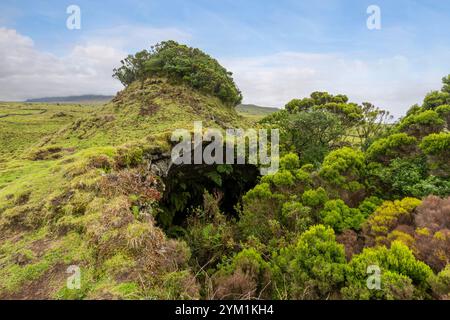 The Furna de Frei Matias is a lava cave below the Pico Mountain on Pico Island, Azores. Stock Photo