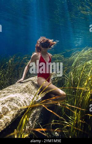 Woman posing underwater on sunken log at the bottom of the lake with algae and sun rays. Freediving in crystal blue lake Stock Photo