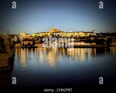 A beautifully illuminated castle reflecting in the river at night, Close-up of blooming pink roses in a lush garden setting. Prague, Czechia Stock Photo