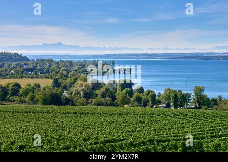 Breathtaking Bodensee Panorama Featuring Alpine Peaks, Vineyards, and ...