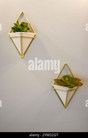 Two small white vases with green plants in them. The vases are placed on a wall Stock Photo