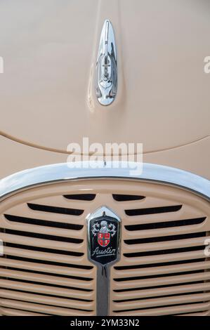 1958 Austin A35 pick up, classic British car derived van Stock Photo