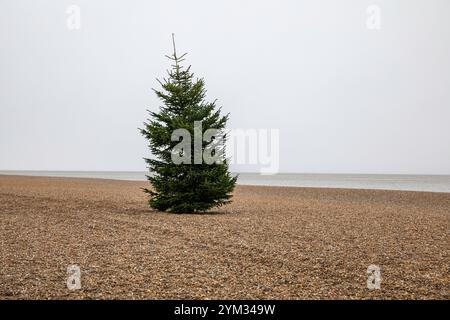Aldeburgh, Suffolk, 20th November 2024, After a sunny start this Morning storm clouds appeared over the sea causing sleet with a temperature of 4C in Aldeburgh, Suffolk. Feeling seasonal there was a Christmas tree on the beach waiting to be decorated. The forecast is for more cold weather for the next few days. Credit: Keith Larby/Ģ����ý Live News Stock Photo