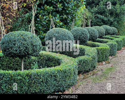 Landscape design manicured box hedge garden triangular arrangement ...