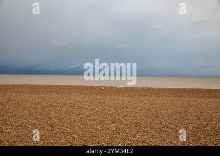 Aldeburgh, Suffolk, 20th November 2024, After a sunny start this Morning storm clouds appeared over the sea causing sleet with a temperature of 4C in Aldeburgh, Suffolk. Feeling seasonal there was a Christmas tree on the beach waiting to be decorated. The forecast is for more cold weather for the next few days. Credit: Keith Larby/Ģ����ý Live News Stock Photo