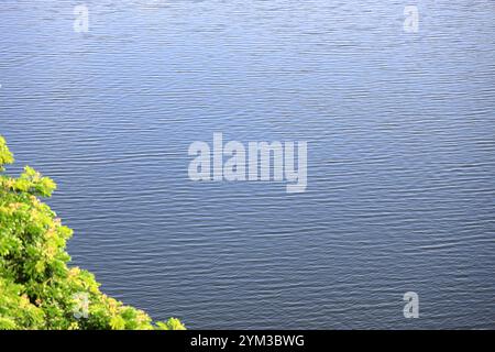 Water surface background with sun reflections. Aerial view of Waves on Water surface with Defocus blurred green Tree at the corner. Stock Photo