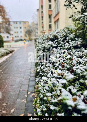 Blurred Winter Background of Blurred Winter Stock Photo
