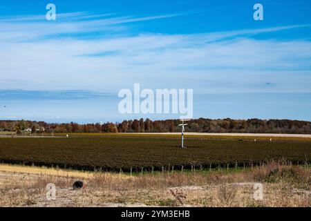 Farmland in St. Catharines, Ontario, Canada Stock Photo