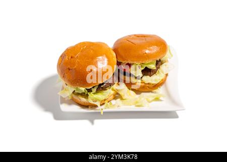 Two hamburgers with lettuce and tomato on a white plate. The hamburgers are on a white plate and are placed next to each other Stock Photo
