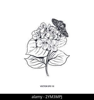 Hydrangea with sitting butterfly. Hand drawn vector illustration of flowers in graphic style. For greeting cards, invitations, labels, tattoo, posters Stock Vector