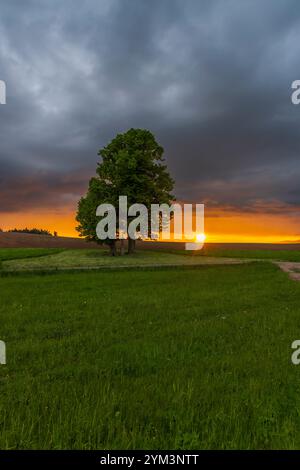 Broumov basin, Eastern Bohemia, Czech Republic Stock Photo