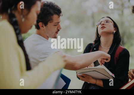 Multicultural students collaborating in the park on school assignments Stock Photo