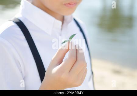 Primary school girl holding a twin leaf Stock Photo