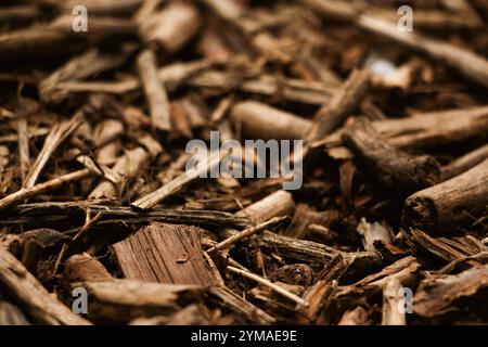 Wood chips, Small pile of wood chips, Wood chips for smoking or recycle, Texture background of bark wood chips from the forest Stock Photo