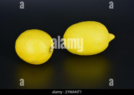 Healthy food, fruits, berries, healthy lifestyle. Two large yellow lemons are located on a black plastic background. Stock Photo