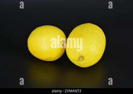Healthy food, fruits, berries, healthy lifestyle. Two large yellow lemons are located on a black plastic background. Stock Photo