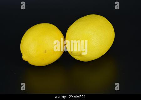 Healthy food, fruits, berries, healthy lifestyle. Two large yellow lemons are located on a black plastic background. Stock Photo