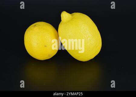 Healthy food, fruits, berries, healthy lifestyle. Two large yellow lemons are located on a black plastic background. Stock Photo