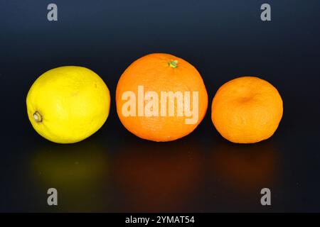 Healthy food, fruits, berries, healthy lifestyle. One large orange orange, one large yellow lemon and one ripe orange tangerine are located on a black Stock Photo