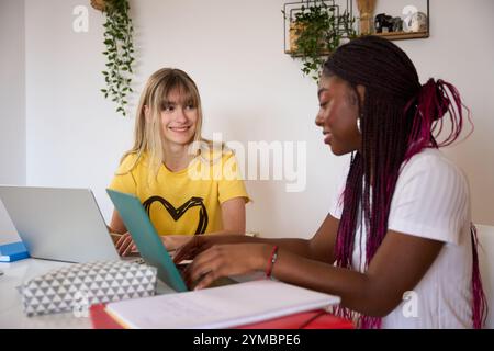 Multiethnic students collaborating on laptops for project Stock Photo