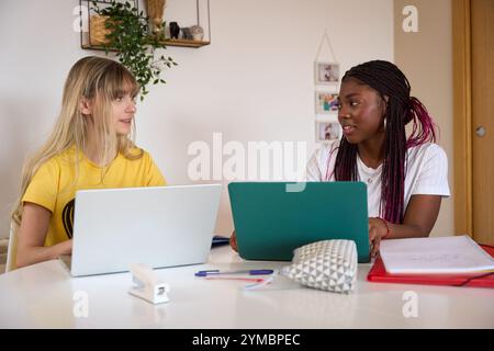 Two multiethnic students collaborating on project using laptops at home Stock Photo