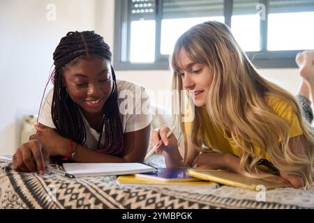 Multiethnic students collaborating on studies at home Stock Photo