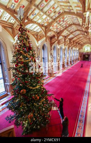 Windsor Castle, Berkshire, UK. , . A 20-foot-high Nordmann Fir tree in St George's Hall, grown nearby in Windsor Great Park and illuminated with thousands of lights. This festive period, visitors to Windsor Castle will see the State Apartments decorated with magnificent Christmas displays. Editorial only, Windsor Castle from 21 November 2024 to 6 January 2025.Paul Quezada-Neiman/Alamy Live News Credit: Paul Quezada-Neiman/Alamy Live News Stock Photo