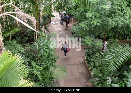 LONDON, GREAT BRITAIN - SEPTEMBER 17, 2014: These are unidentified visitors among the tropical plants in the Palm House at Kew Gardens. Stock Photo