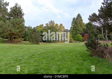 LONDON, GREAT BRITAIN - SEPTEMBER 17, 2014: This is a lawn near a Water Lily Pond in early autumn. Stock Photo