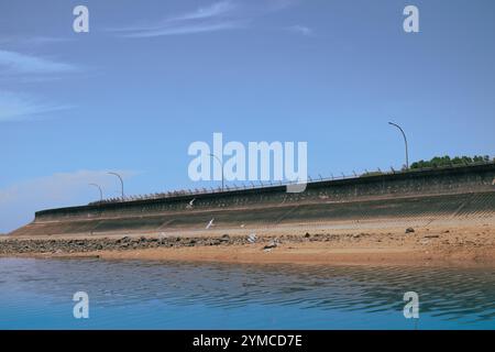 Seagulls are flying in groups around the beach and dam Stock Photo