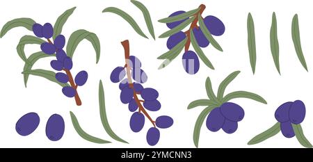 Hand-drawn illustration featuring olive branches, leaves, and berries, forming a captivating arrangement perfect for nature-inspired projects Stock Vector